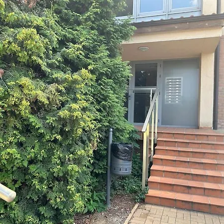 оазис Apartment